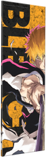 Ichigo - Bleach Platelight Acrylic