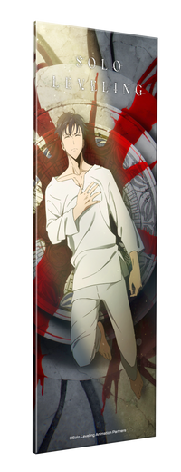 Sung Jinwoo - Solo Leveling Platelight Acrylic