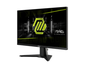 MSI MAG255XF 25